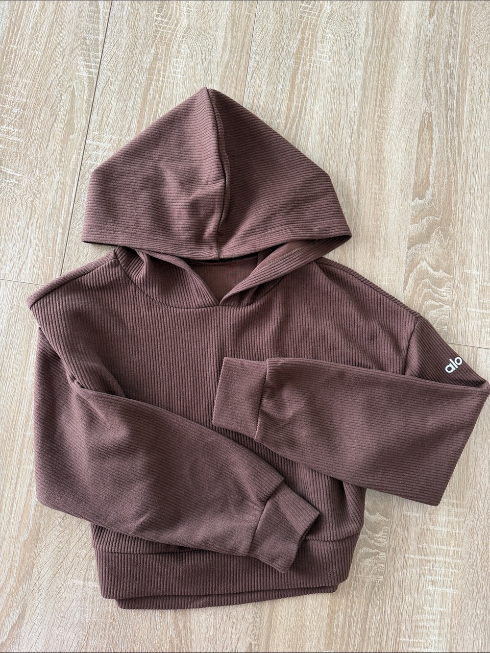 ALO Yoga Men’s Ribbed Hoodie Sweater in Brown